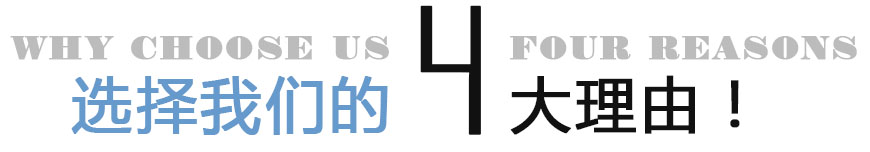 臭氧發(fā)生器廠(chǎng)家,臭氧脫硝技術(shù)